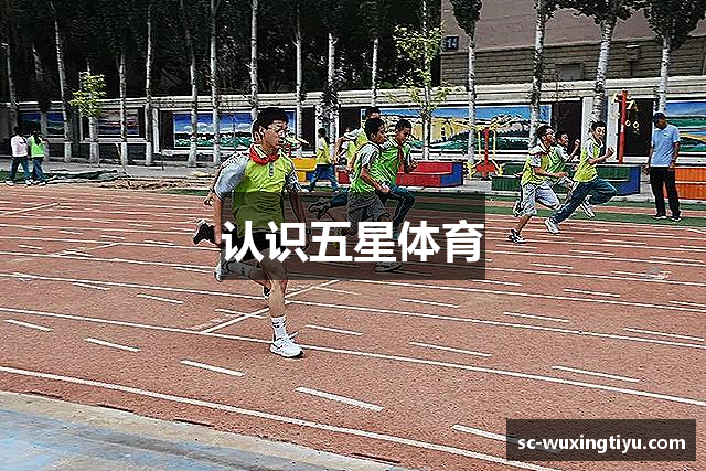 认识五星体育